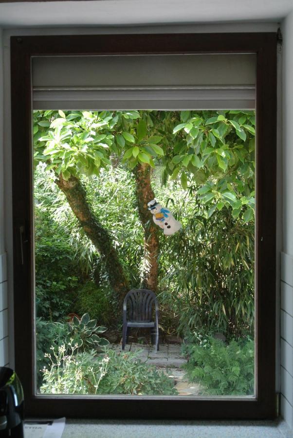 Ferienwohnung Zur Muehle Sotzweiler 외부 사진