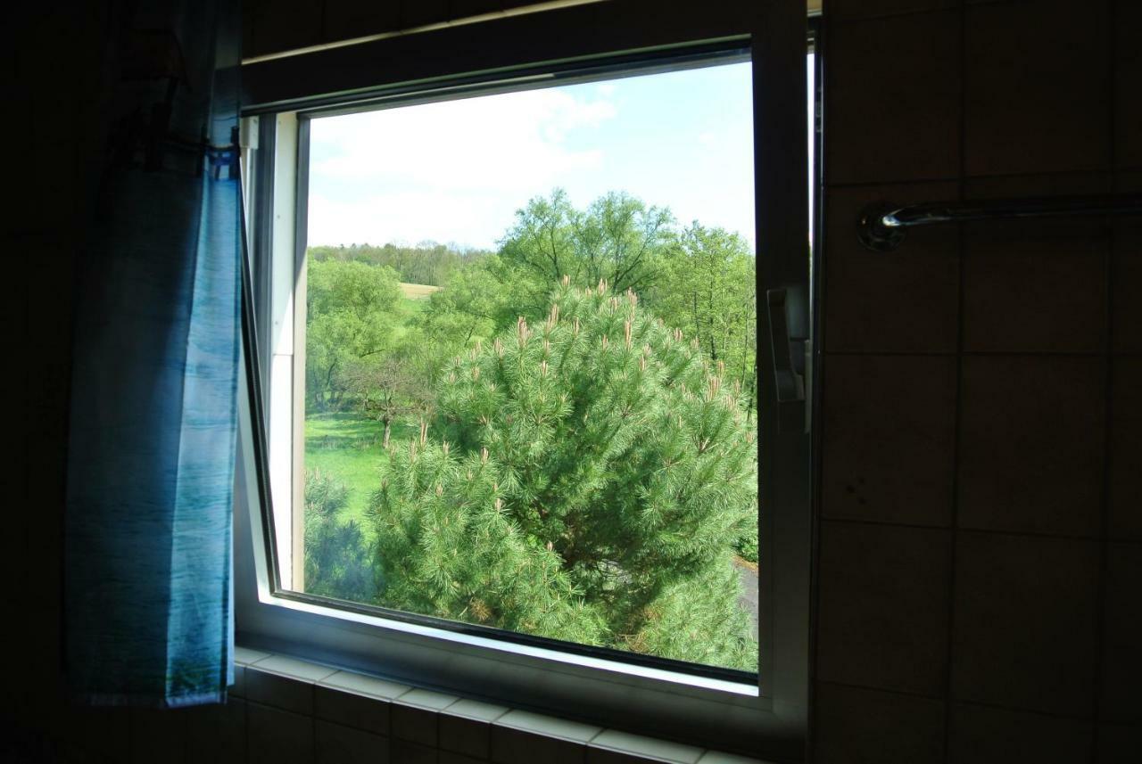 Ferienwohnung Zur Muehle Sotzweiler 외부 사진